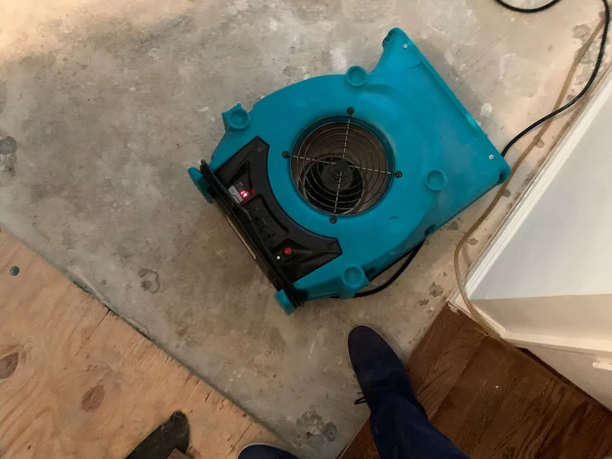 Air mover drying subfloor during Leak Detection & Repair in Antwerp